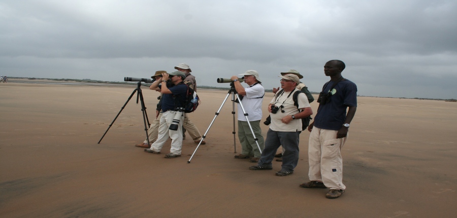 Bird watchers birding along Sabaki river estuary 